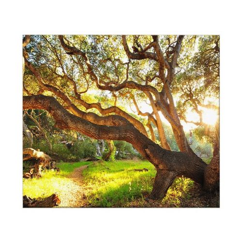 EPIKASA Canvas Print Tree - Green 100x3x70 cm