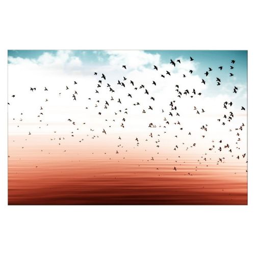EPIKASA Stampa su Tela Uccelli 1 - Arancione 150x3x100 cm