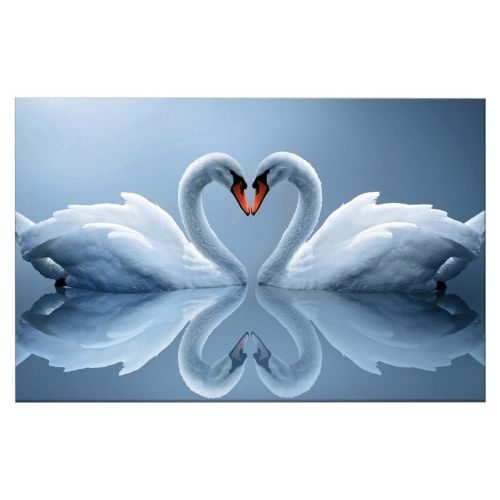 EPIKASA Canvas Print Swan - White 150x3x100 cm