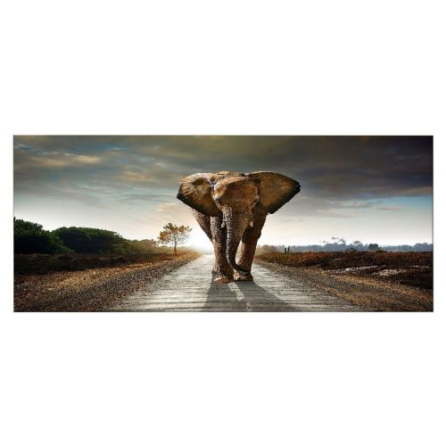 Epikasa Stampa su Tela Elefante - Multicolore 100x3x70 cm