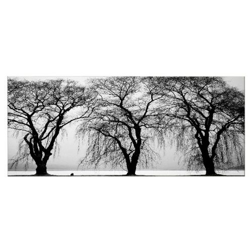 Epikasa Canvas Print Tree 5 - Black 100x3x70 cm