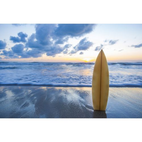 EPIKASA Canvas Print Surf - Multicolor 120x4x60 cm