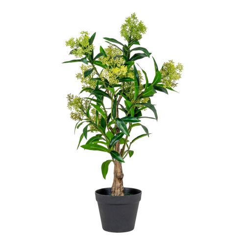 EPIKASA Pianta Artificiale Skimmia - Verde 40x40x75 cm