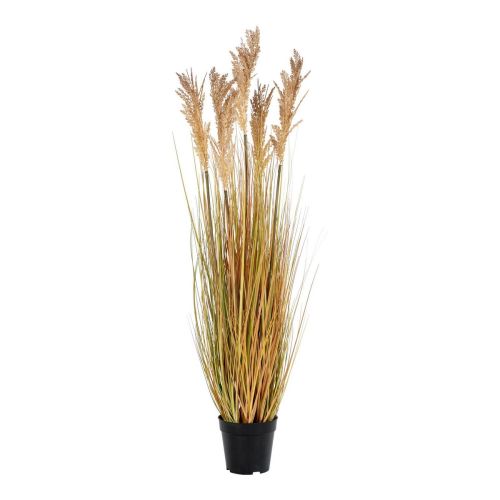 EPIKASA Artificial Plant Sorghum - Brown 35x30x110 cm