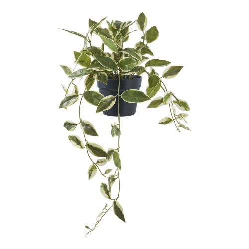 Epikasa Artificial Plant Hoya - Green 25,5x25,5x33 cm