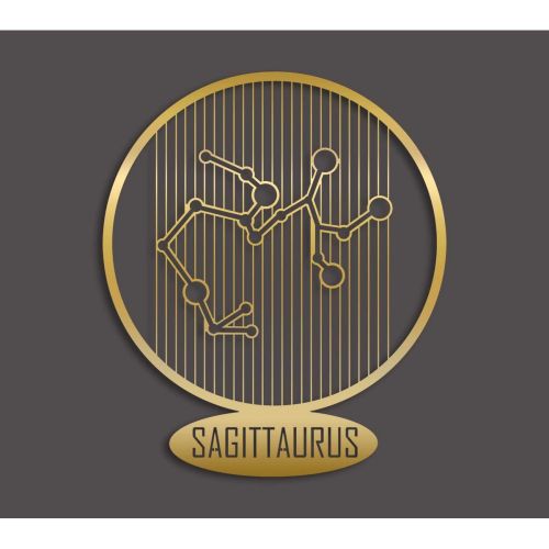 Epikasa Metal Decoration Horoscope Sagittarius 8 - Gold 38x0,15x45 cm